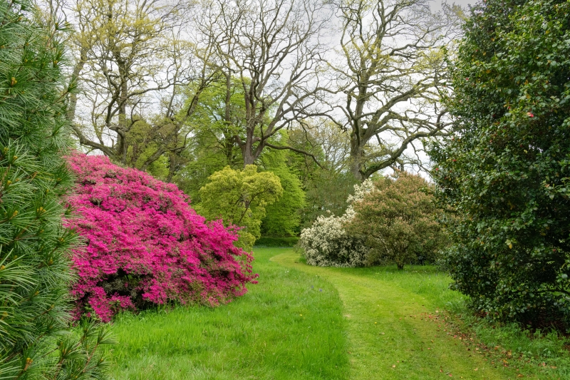 Boconnoc